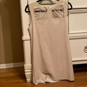 Super Chic Mid Thigh Dress